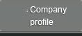 company profile